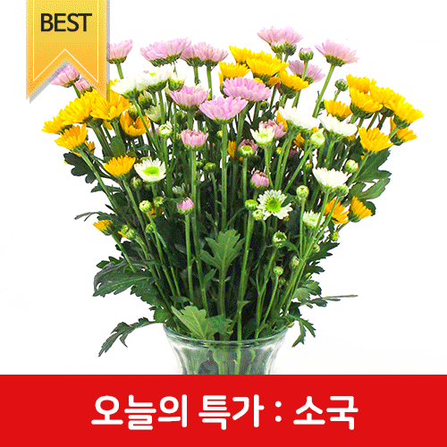 상품이미지